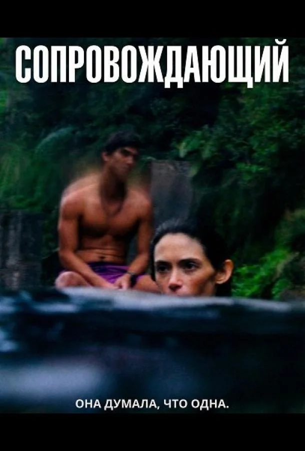 Сопровождающий 2024 смотреть фильм онлайн