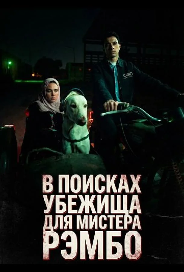 В поисках убежища для мистера Рэмбо 2024 смотреть фильм онлайн